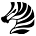 3A-zebra